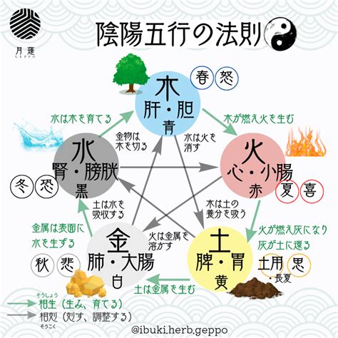 太陽五行|陰陽五行説 – 陰陽道・五行説をわかりやすく解説【図。